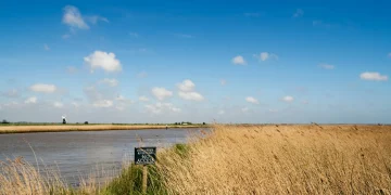 River Waveney, marsh channels, and distant windmill.